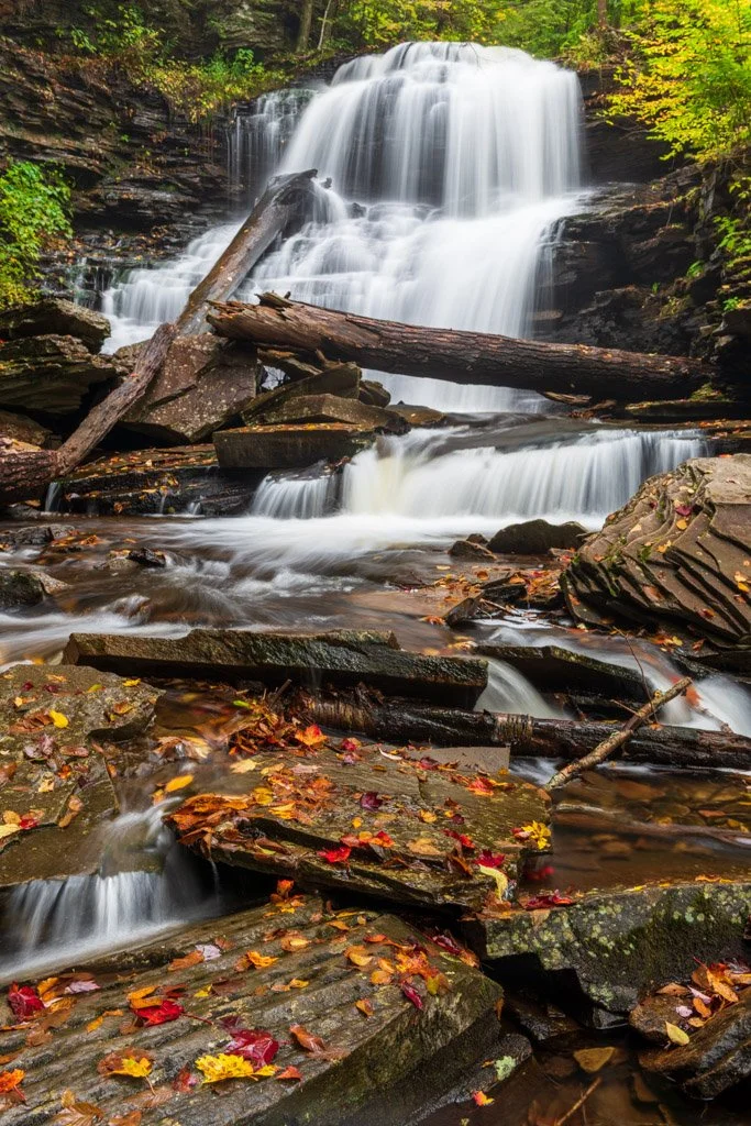 Shawnee Falls | Ricketts Glen State Park