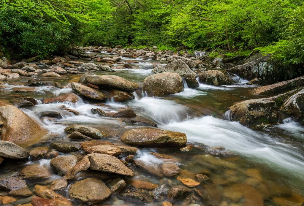 Smoothing Over | Great Smoky Mountains National Park