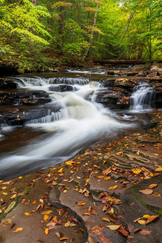 Cascading Kitchen Creek | Ricketts Glen State Park
