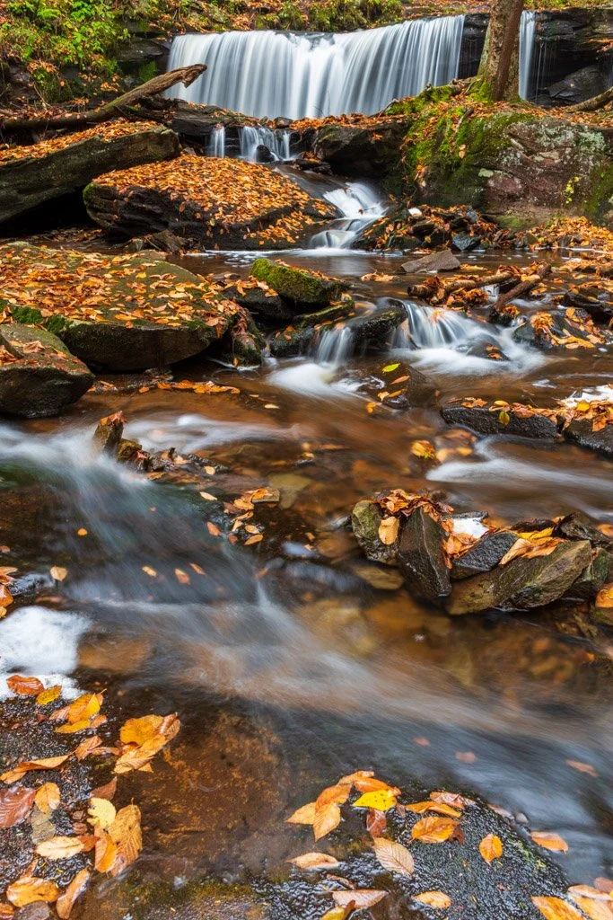 Seneca | Ricketts Glen State Park