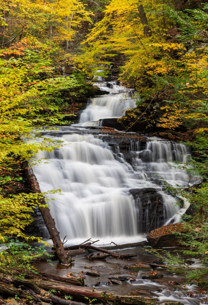 Mohican Falls | Ricketts Glen State Park