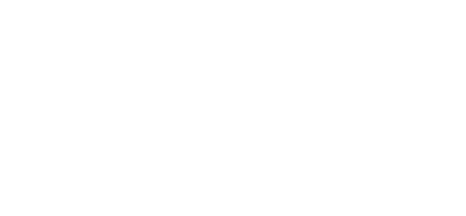 MN Painting Pros