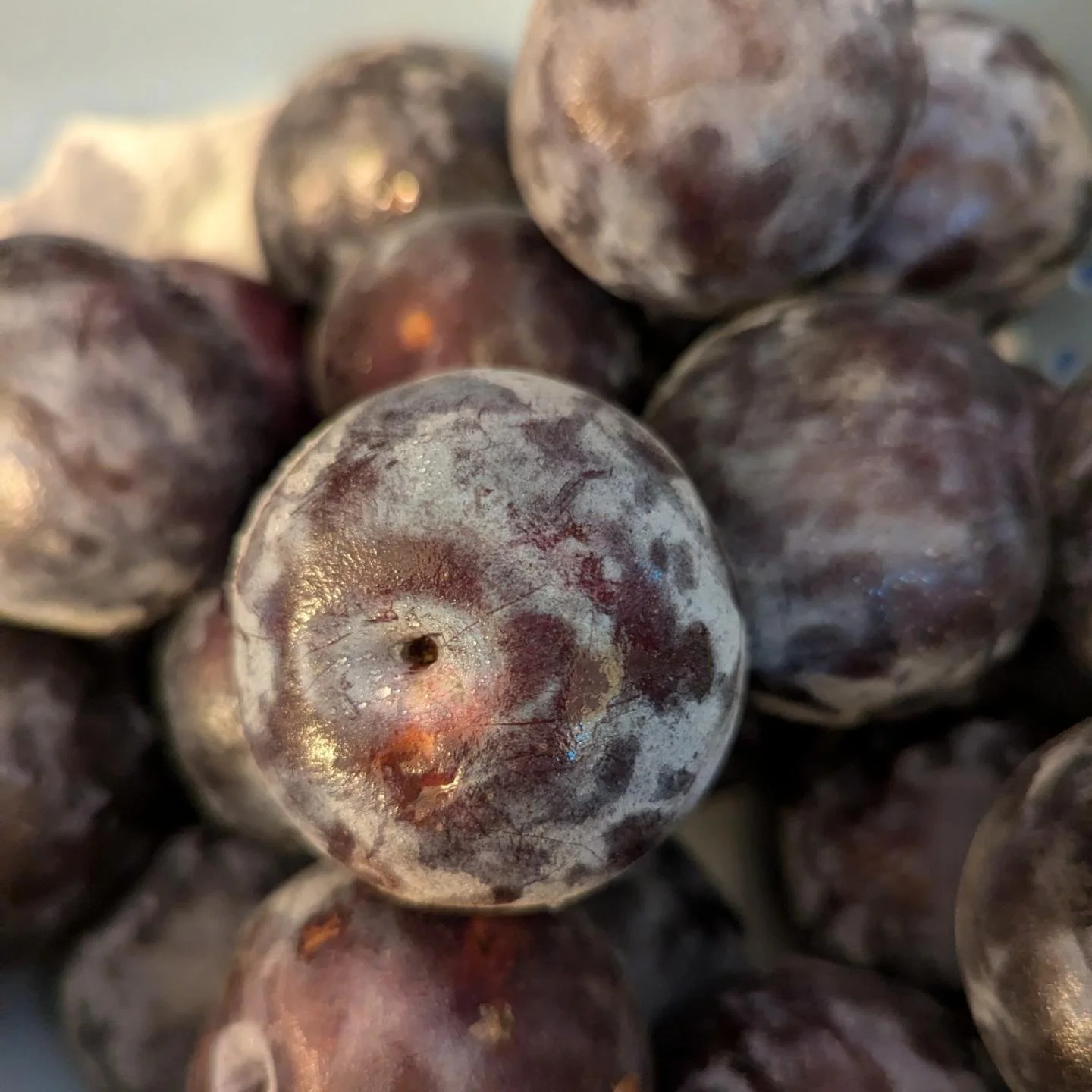 Close-up of fresh blueberries showing their round shape, blue-purple color, and natural speckled skin.