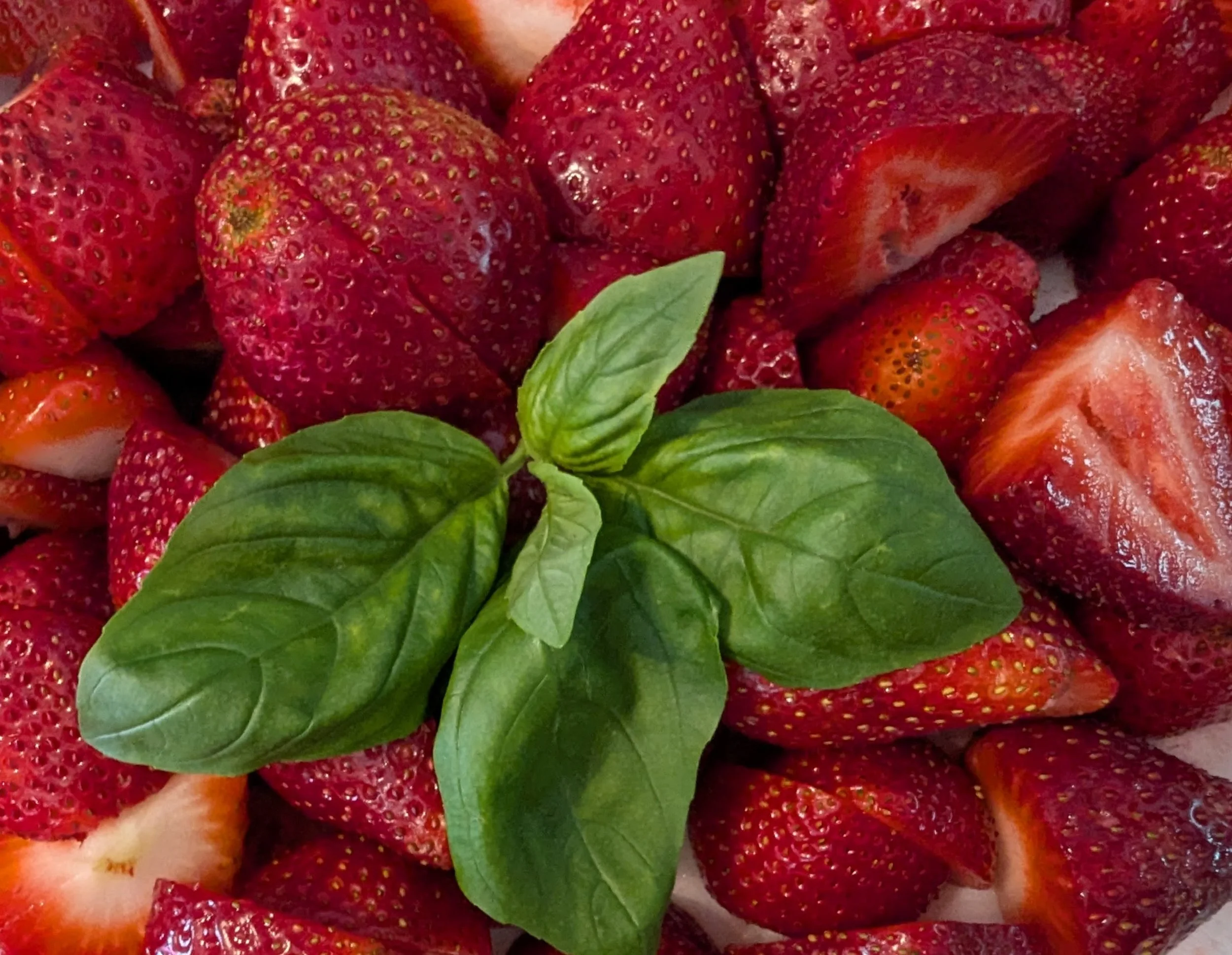 Close-up of fresh strawberries with green basil leaves on top.