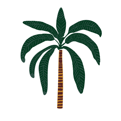 Illustration of a banana tree with green fronds and a brown trunk against a black background.
