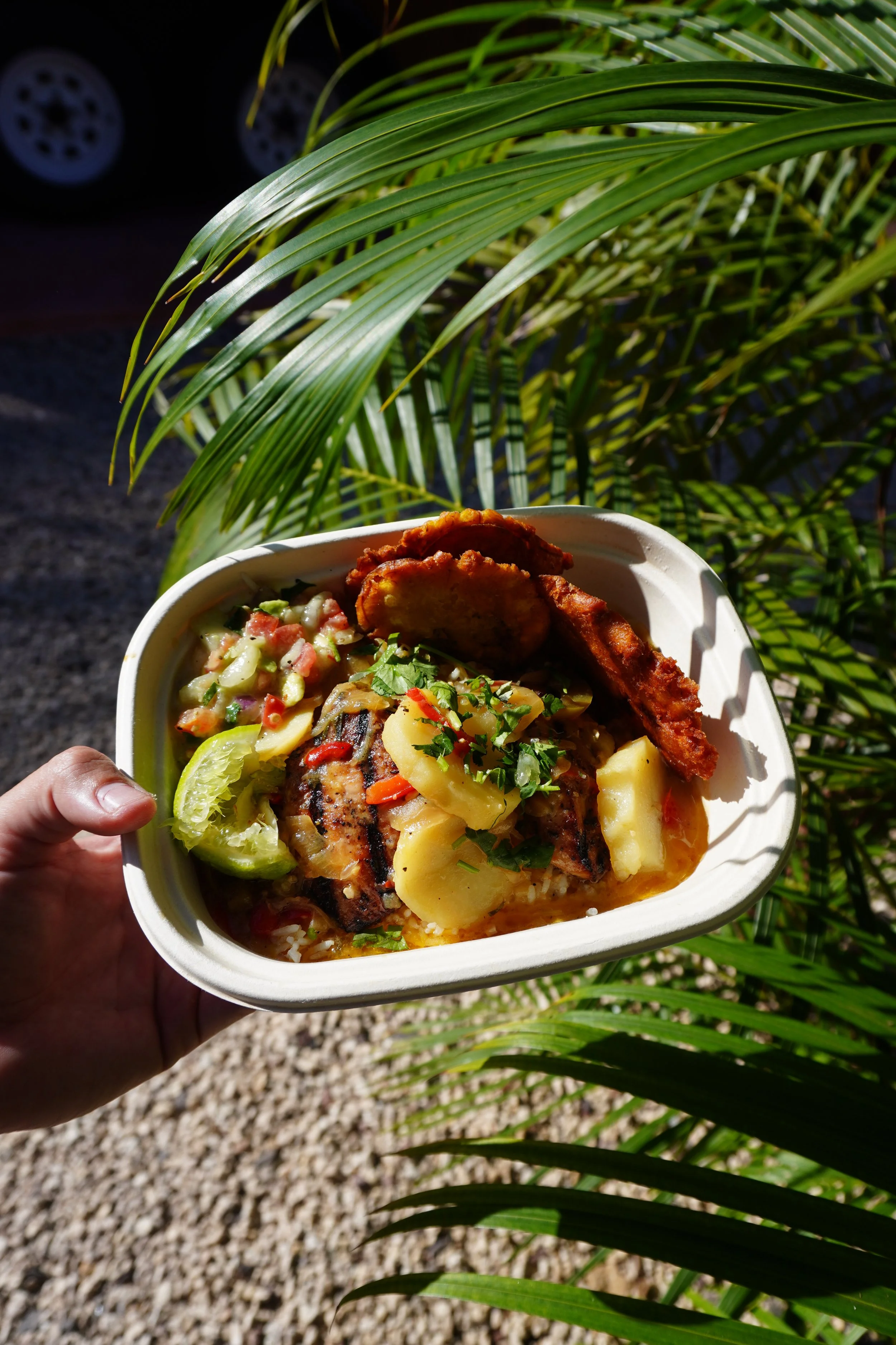 Hand holding a takeout container with fried fish, vegetables, and plantains, outdoors with palm leaves in the background.
