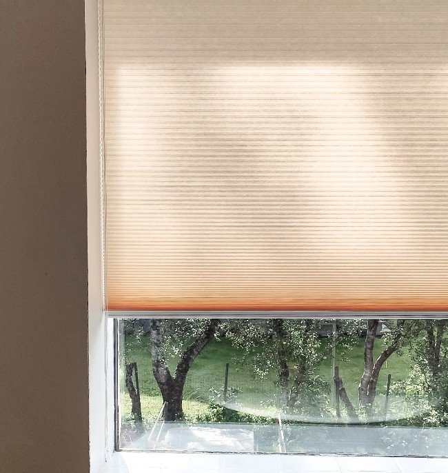 Part of a window with a closed beige roller blind, showing trees and greenery outside.
