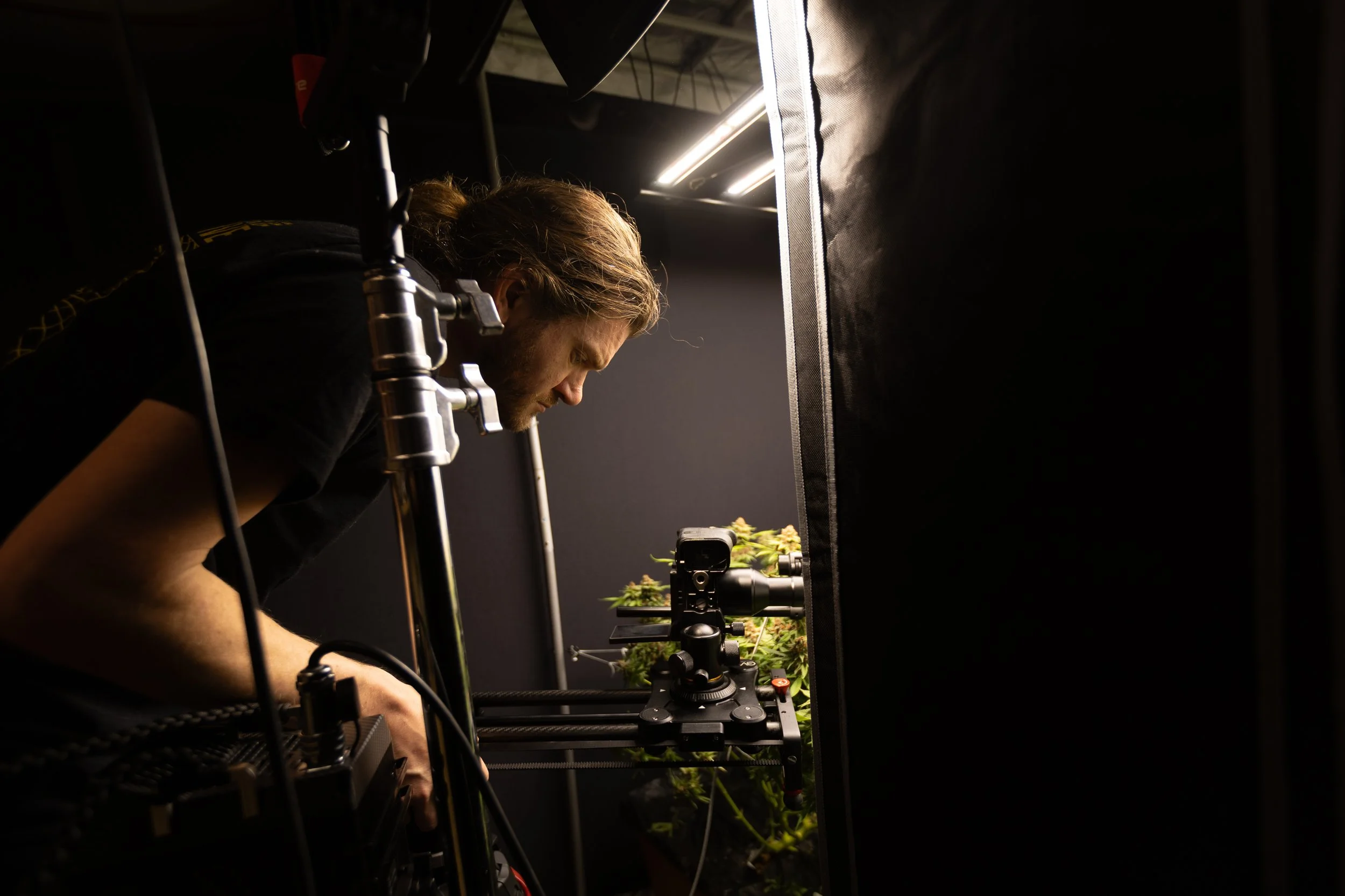 A man with long hair and a beard leans over a camera and equipment setup, photographing or filming plants with leafy foliage in a dark room illuminated by focused lighting.