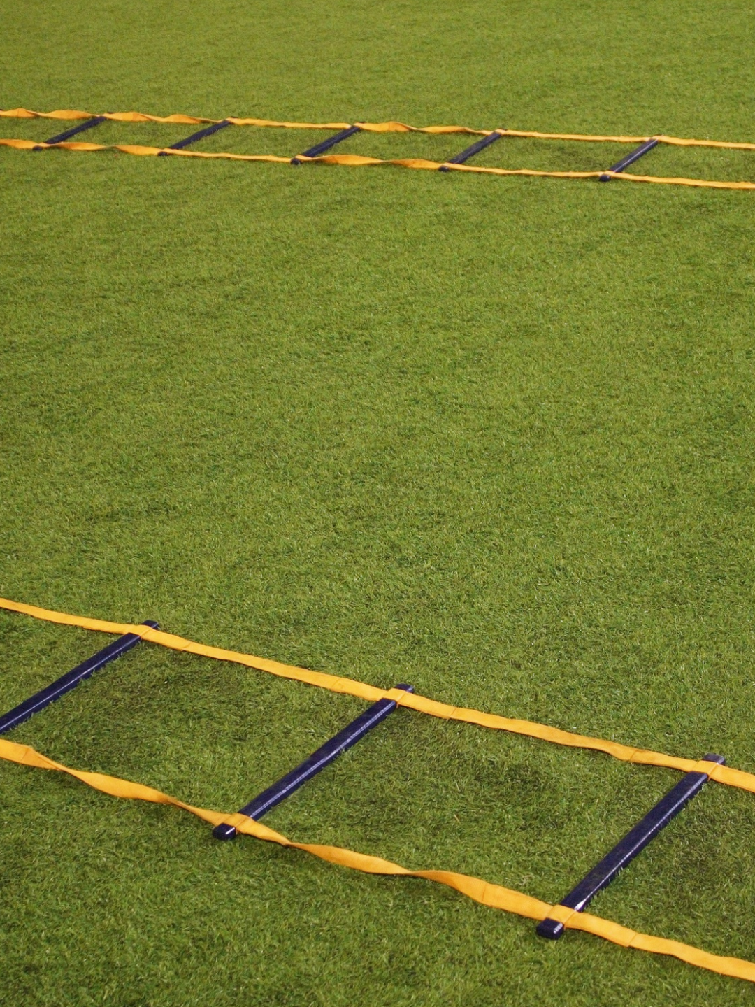 Agility ladder on green grass used for fitness training.