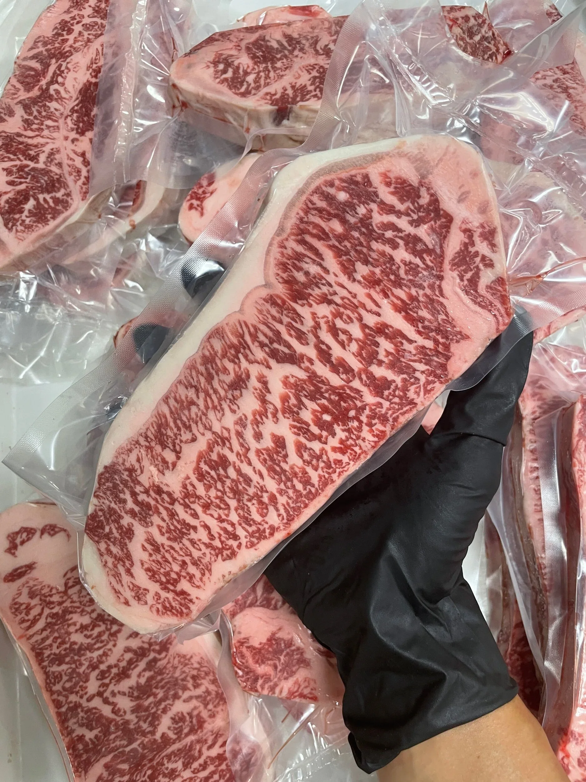 Primal Processing (Trim, Cut, Pack)