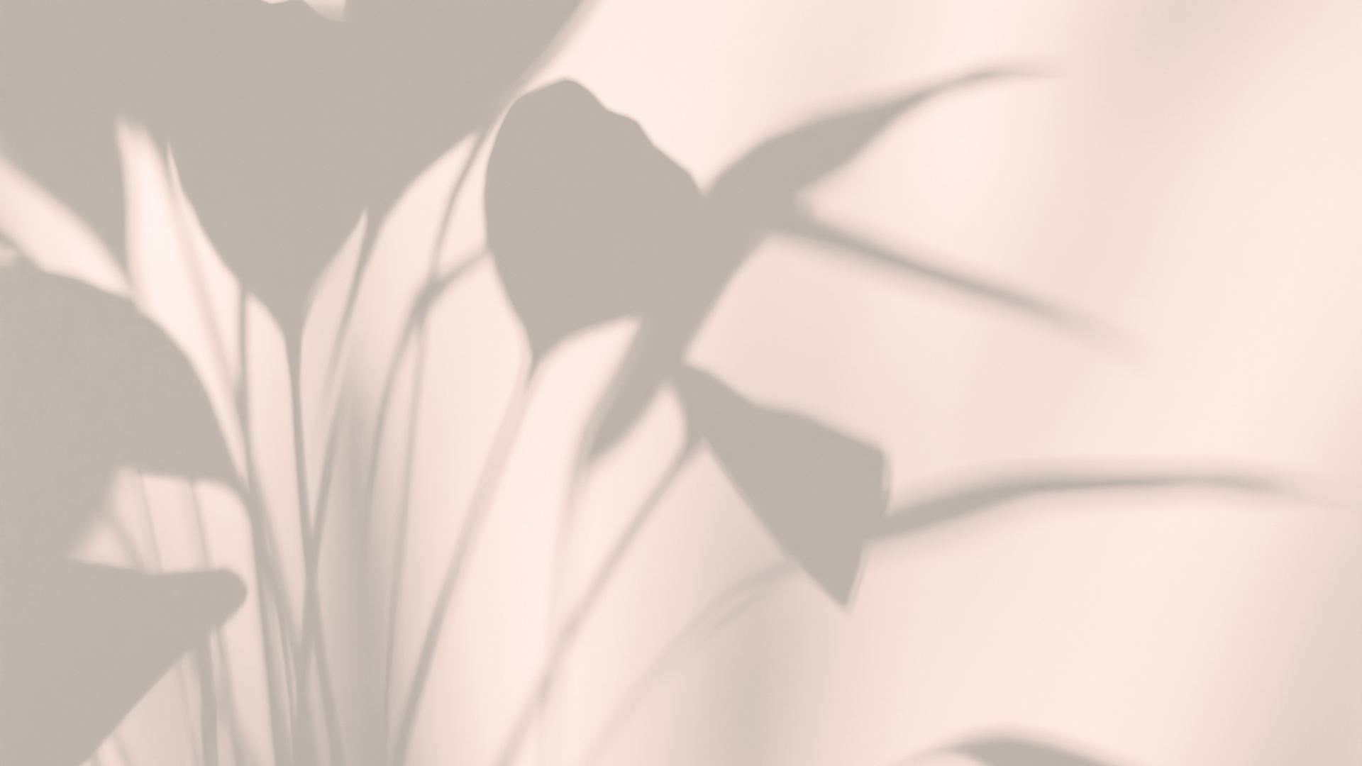 Medspa in Greeley, CO 80634 l Lumié Aesthetics + Wellness Co.