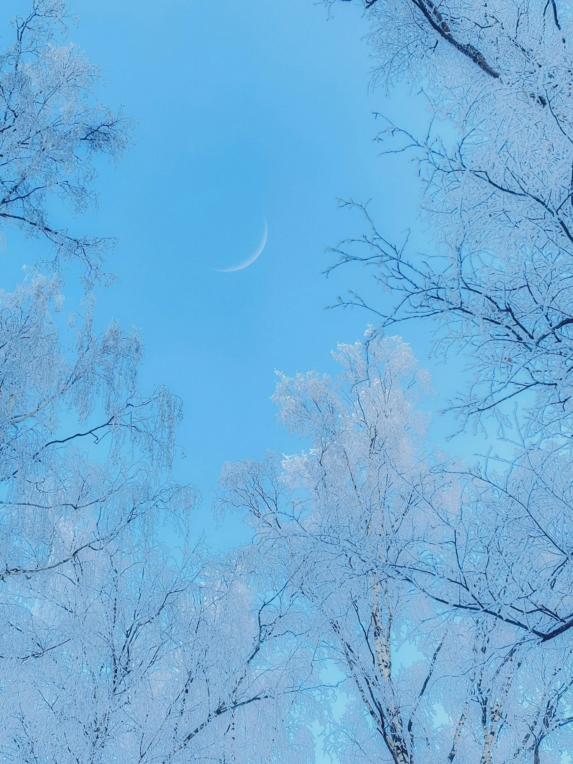 February New Moon Circle