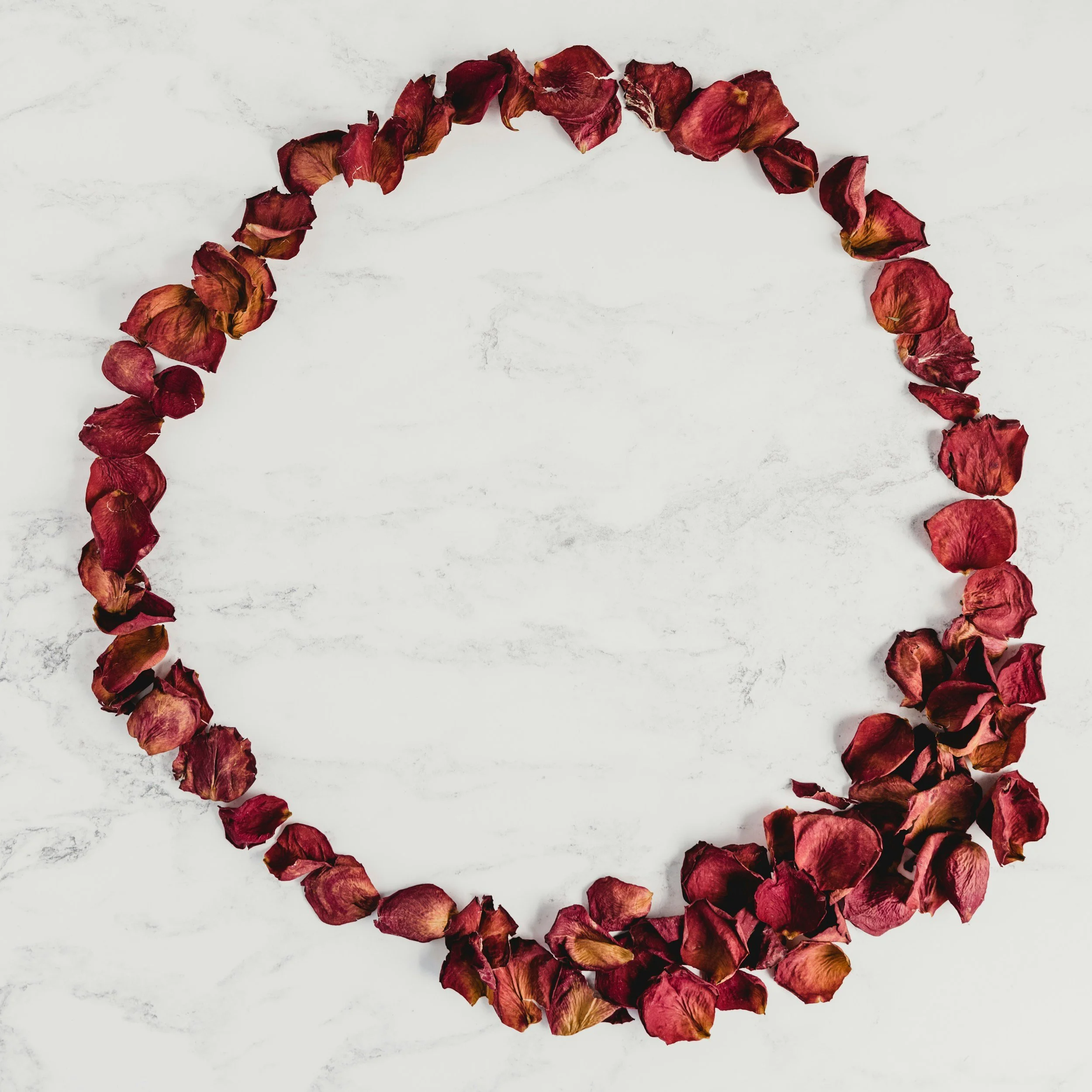 Ottawa Women’s Circle: When Self Care Feels Impossible