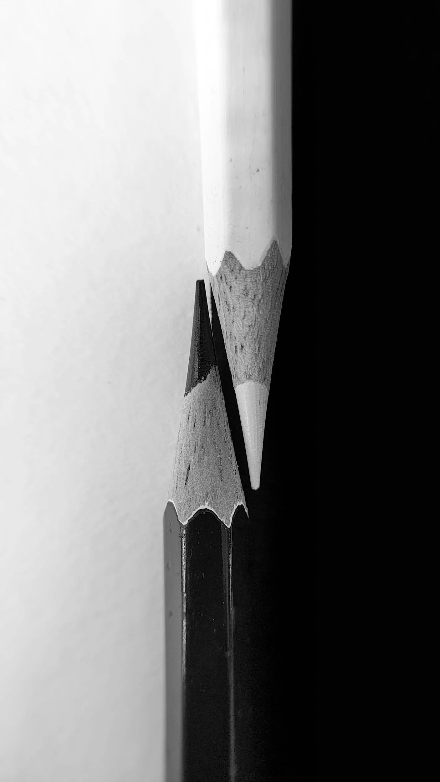 Close-up of a pair of sharpened colored pencils, one white and one black, with their tips touching.