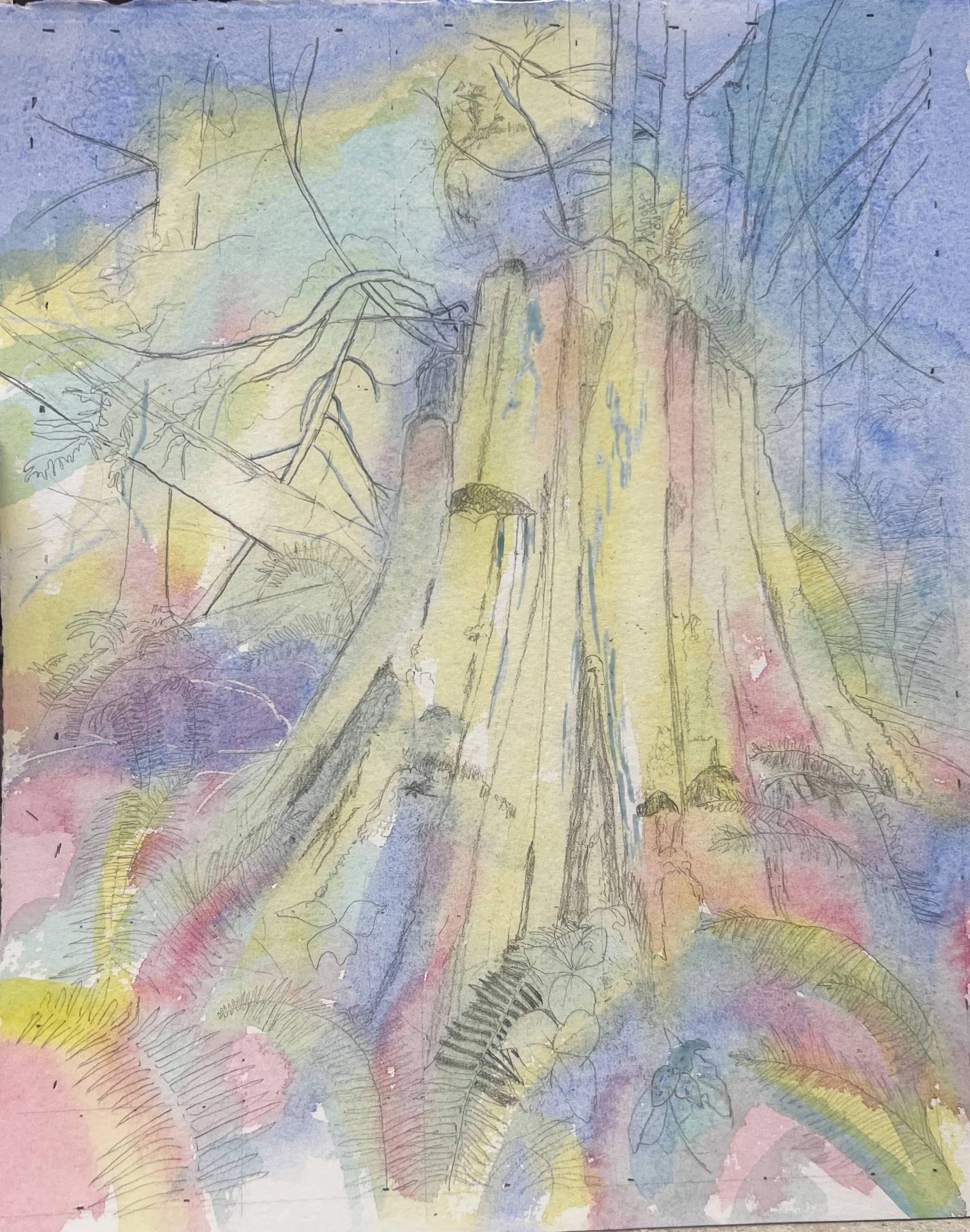 Springboard Trail 3 - Background Wash