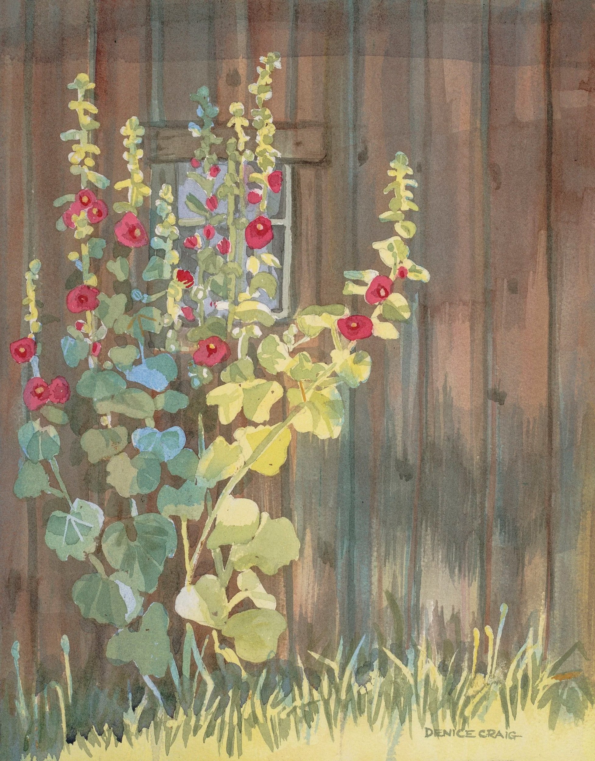 Homestead Hollyhocks