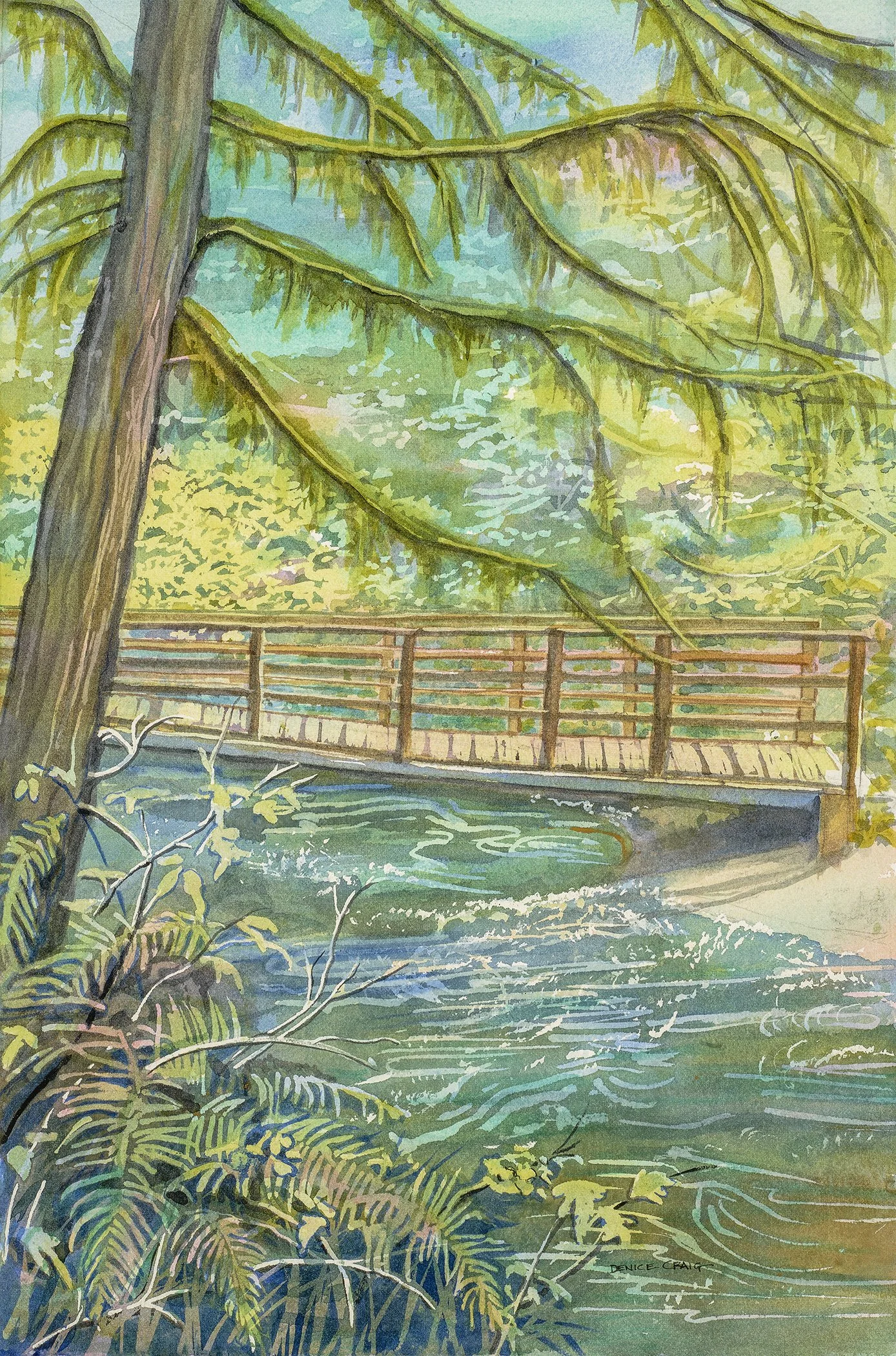 Ludlow Falls Footbridge