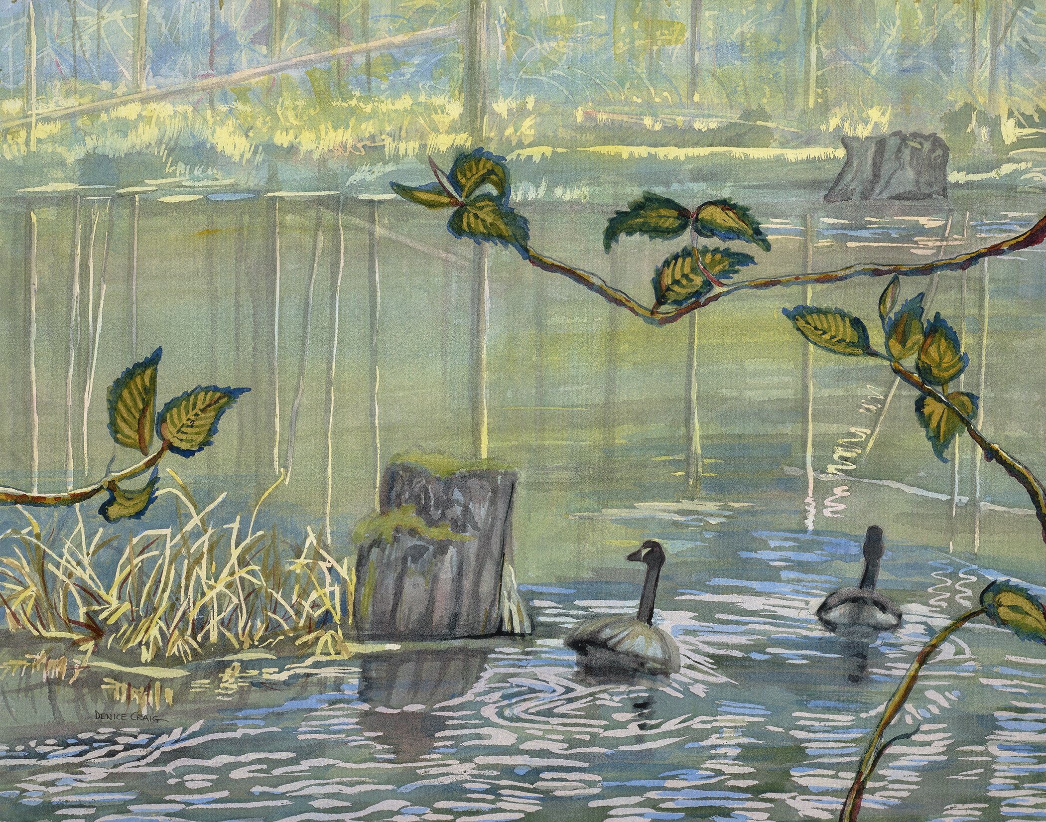 Timberton Trail Pond