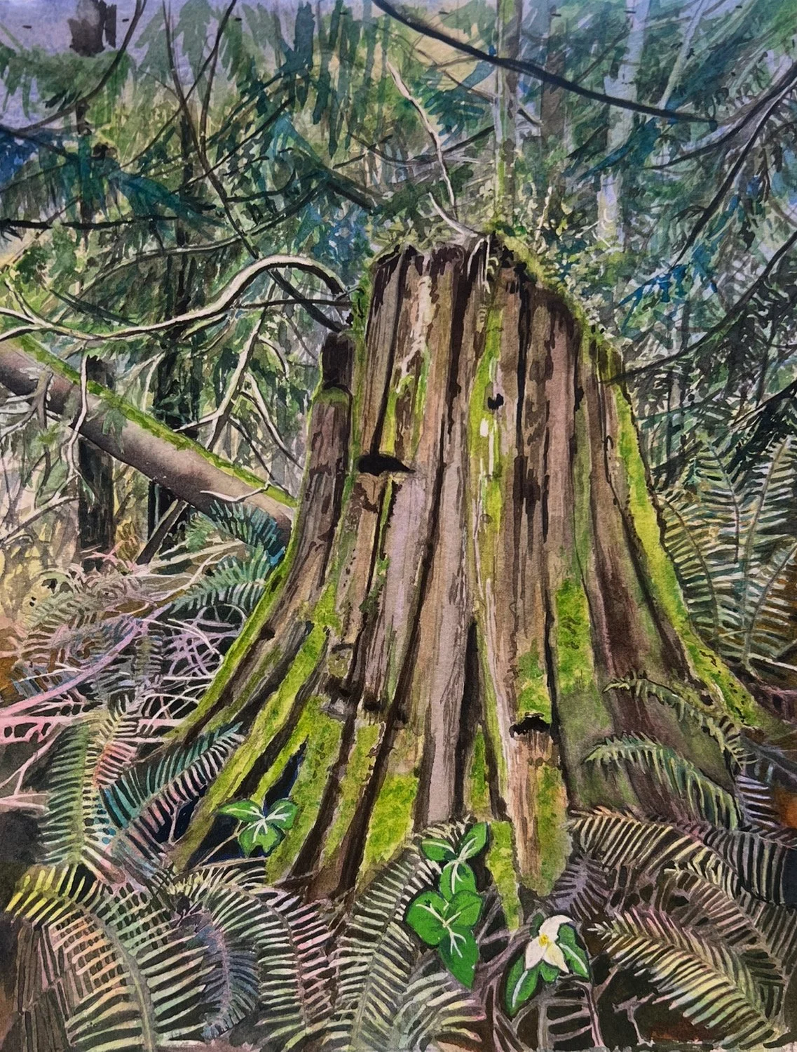 Springboard Trail 7 - Final