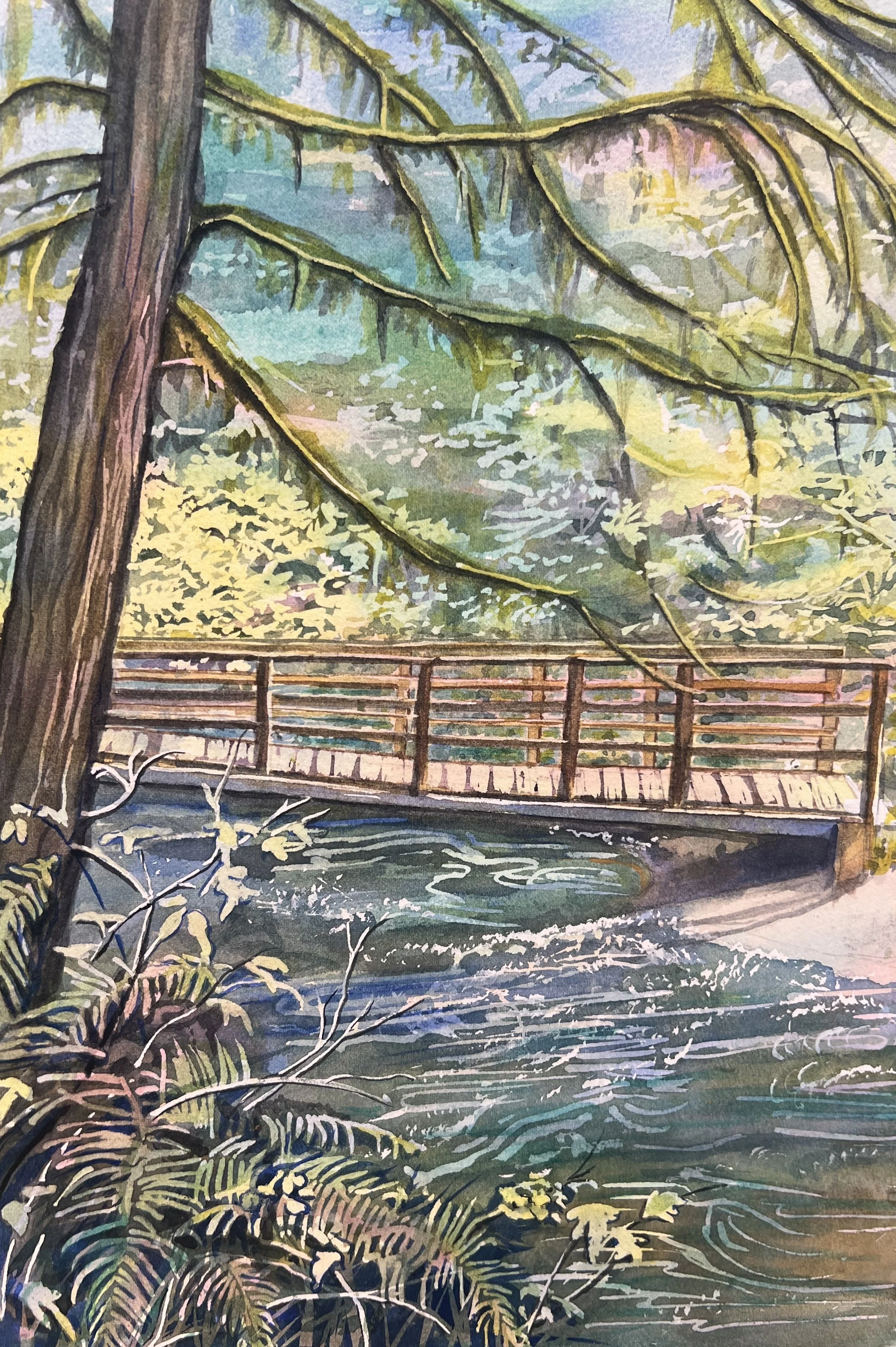 Ludlow Falls Footbridge 3 - Final