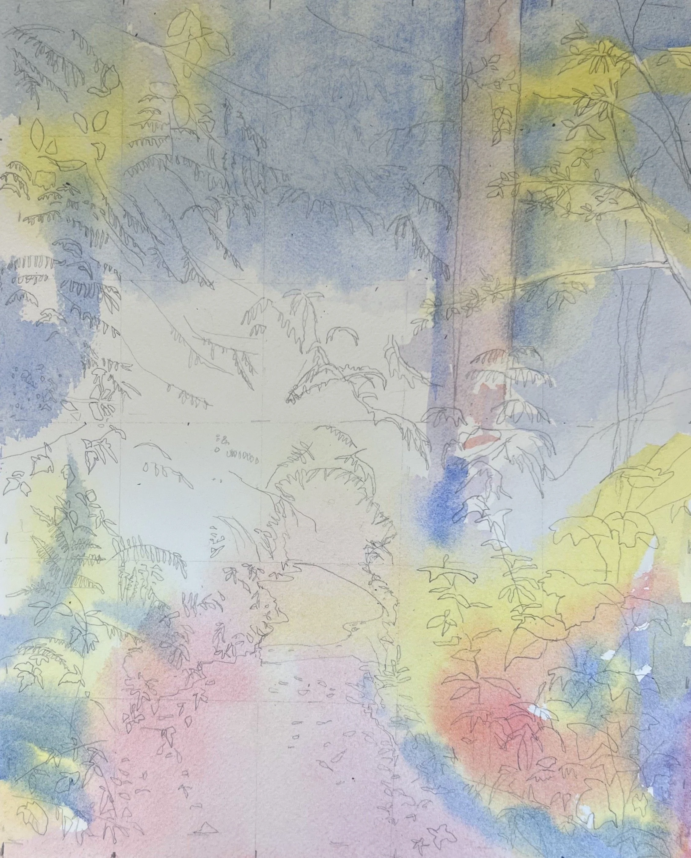 Old Cart Path 1 - Wash