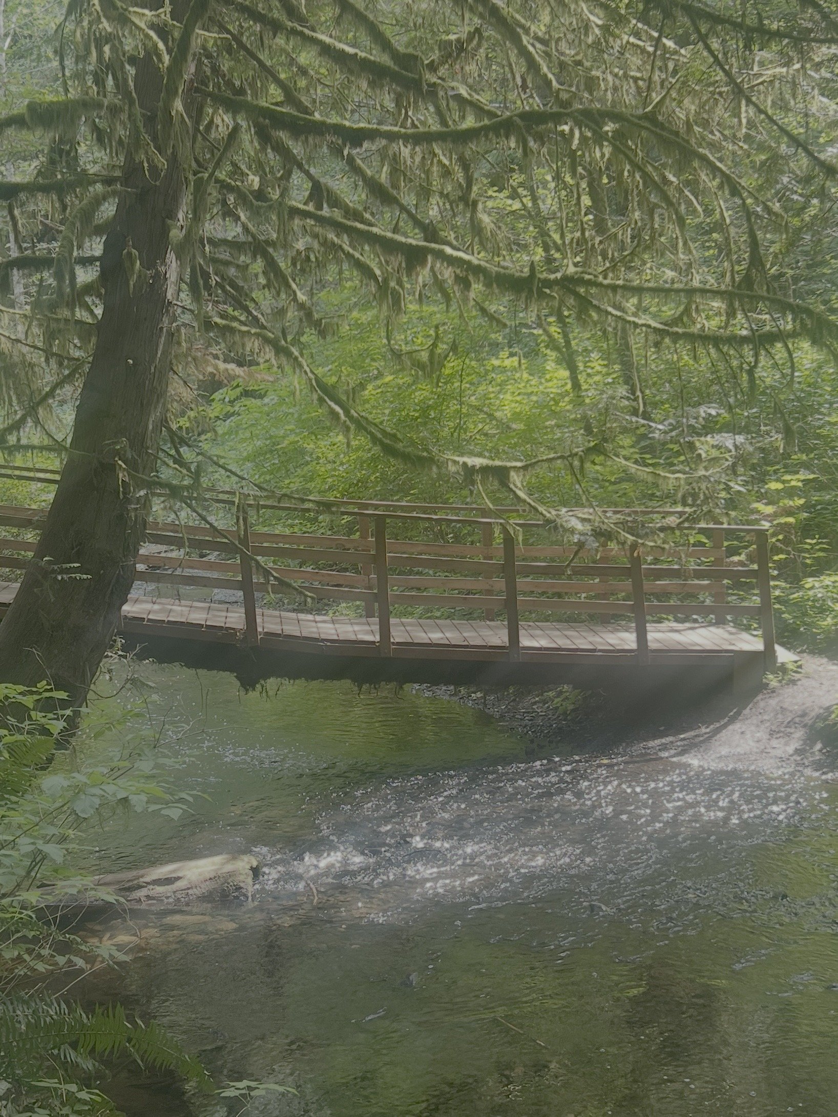 Ludlow Falls Footbridge 1 - Photo