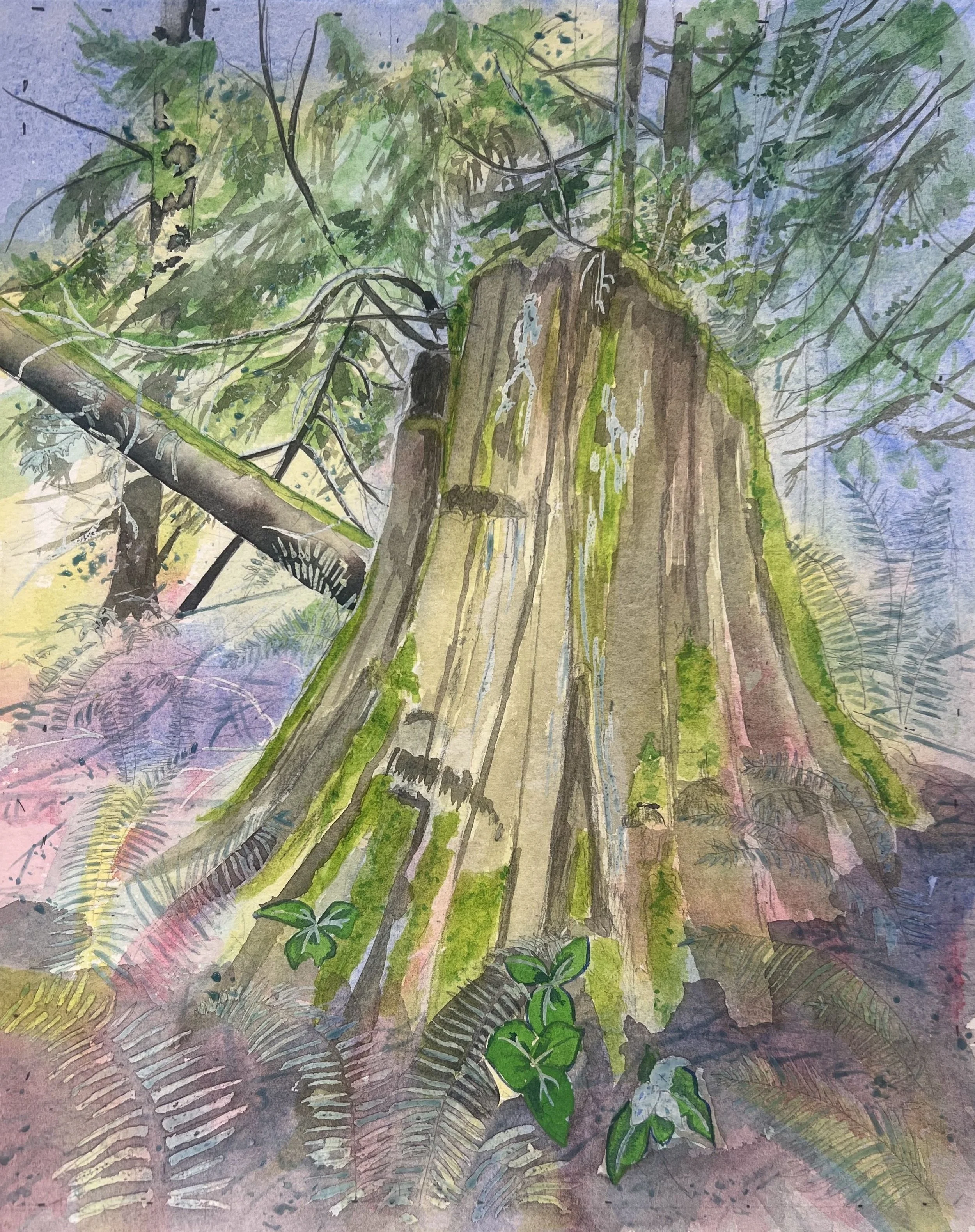 Springboard Trail 4 - Adding Detail