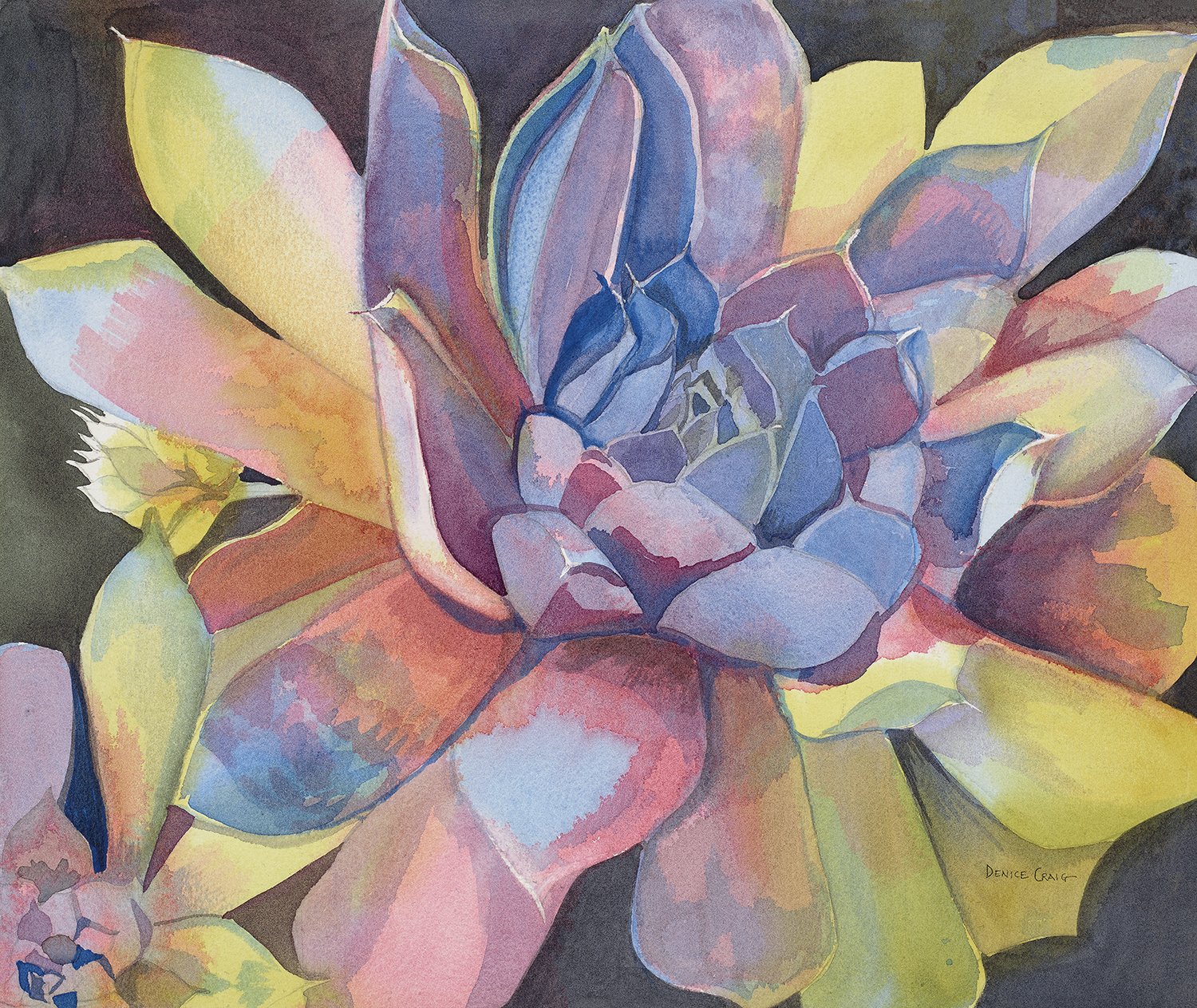 Spectacular Succulent