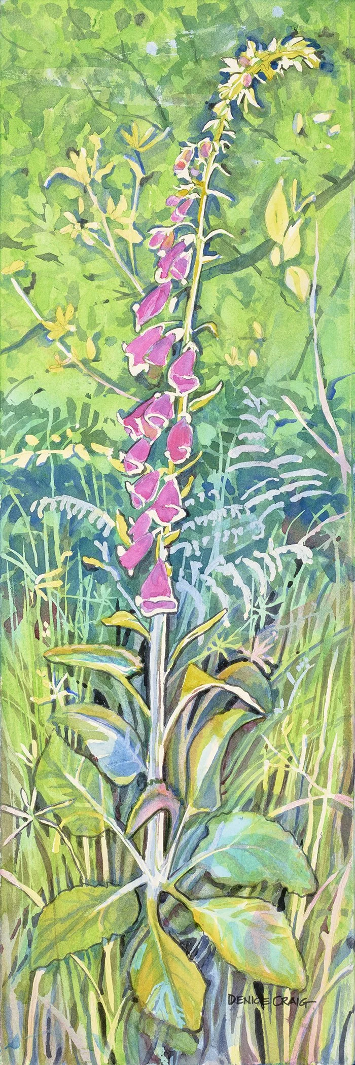 Foxglove Glow