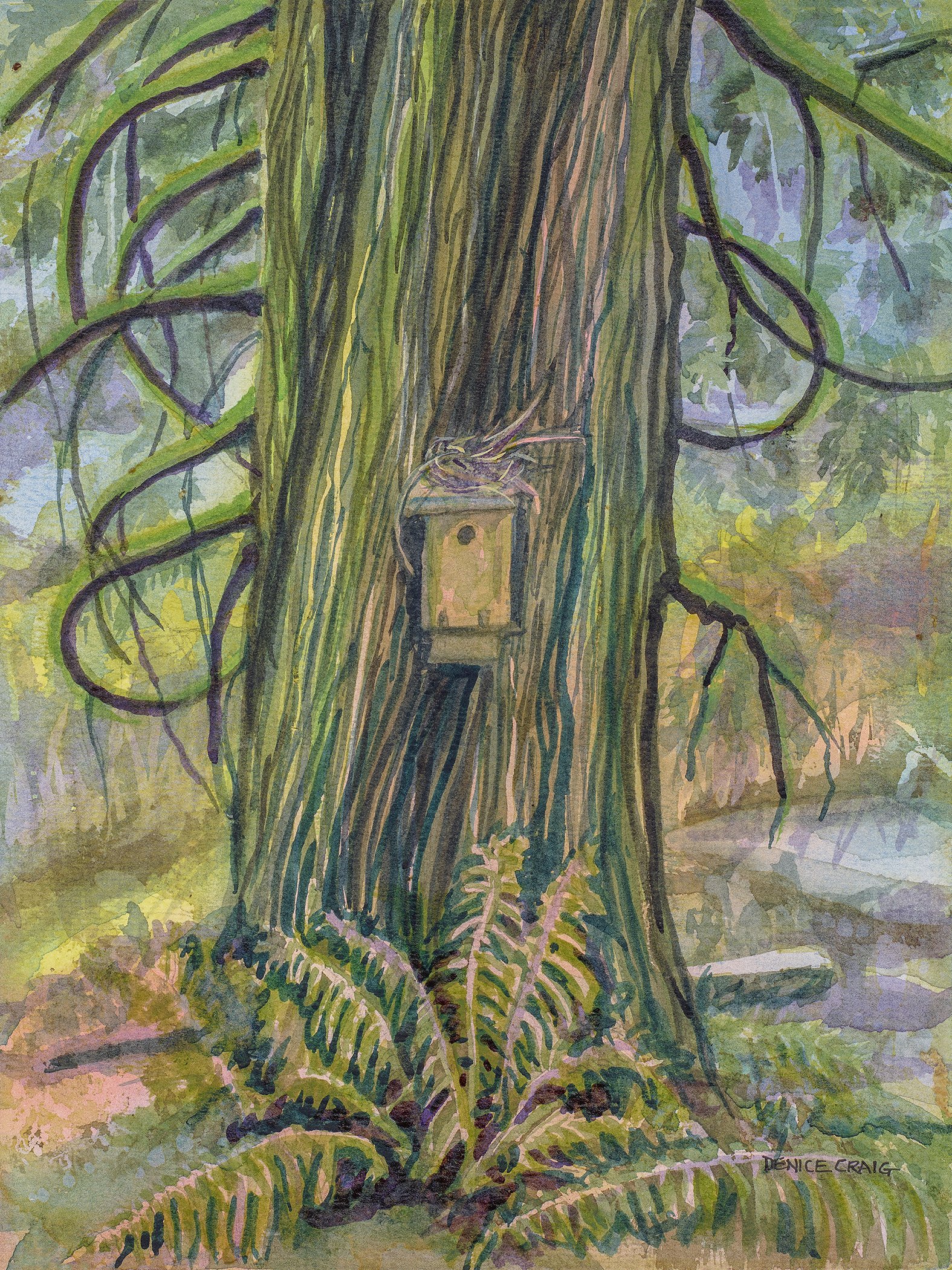 Port Ludlow Waterfall Nest