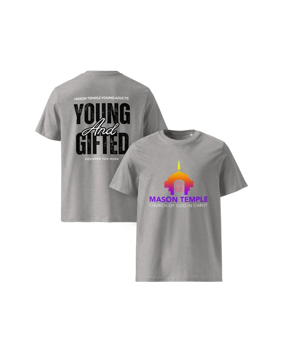 YA-Young and Gifted-Grey.jpg