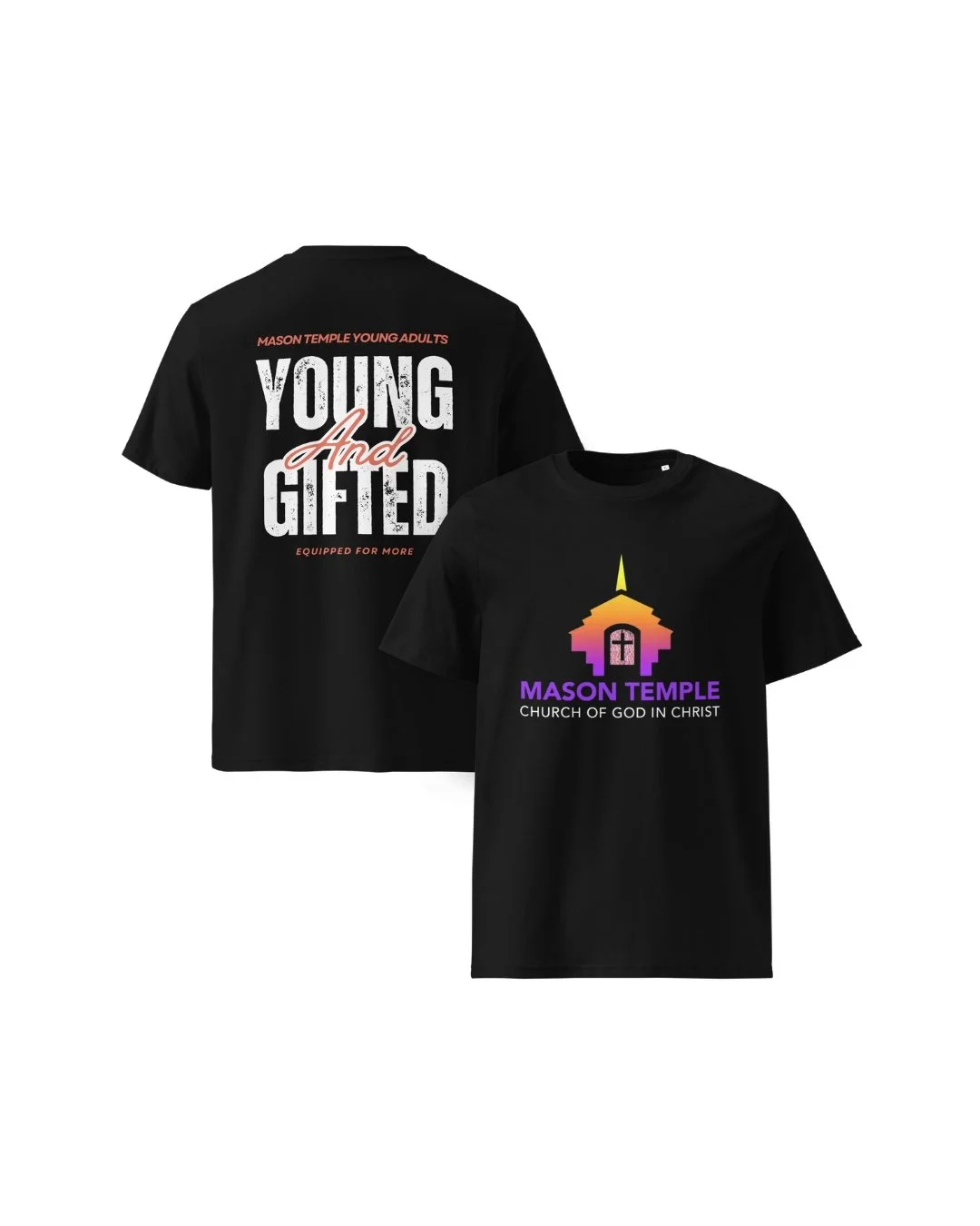 YA-Young and Gifted-Black.jpg