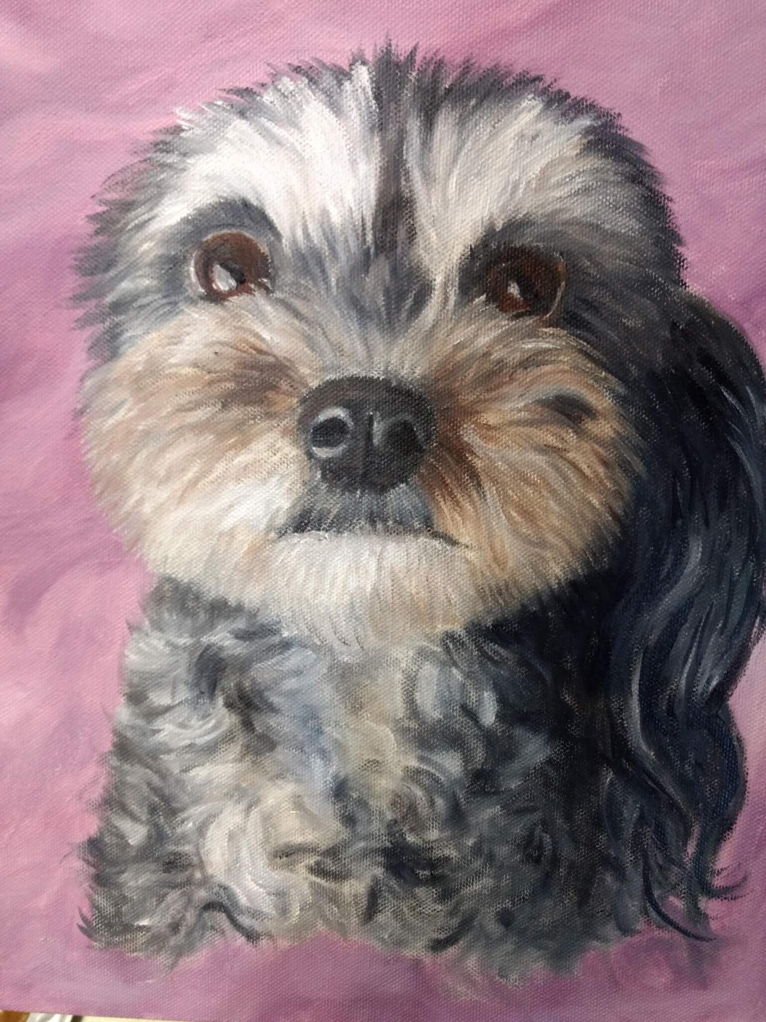 Close-up portrait of a small dog with black, white, gray, and brown fur against a pink background.