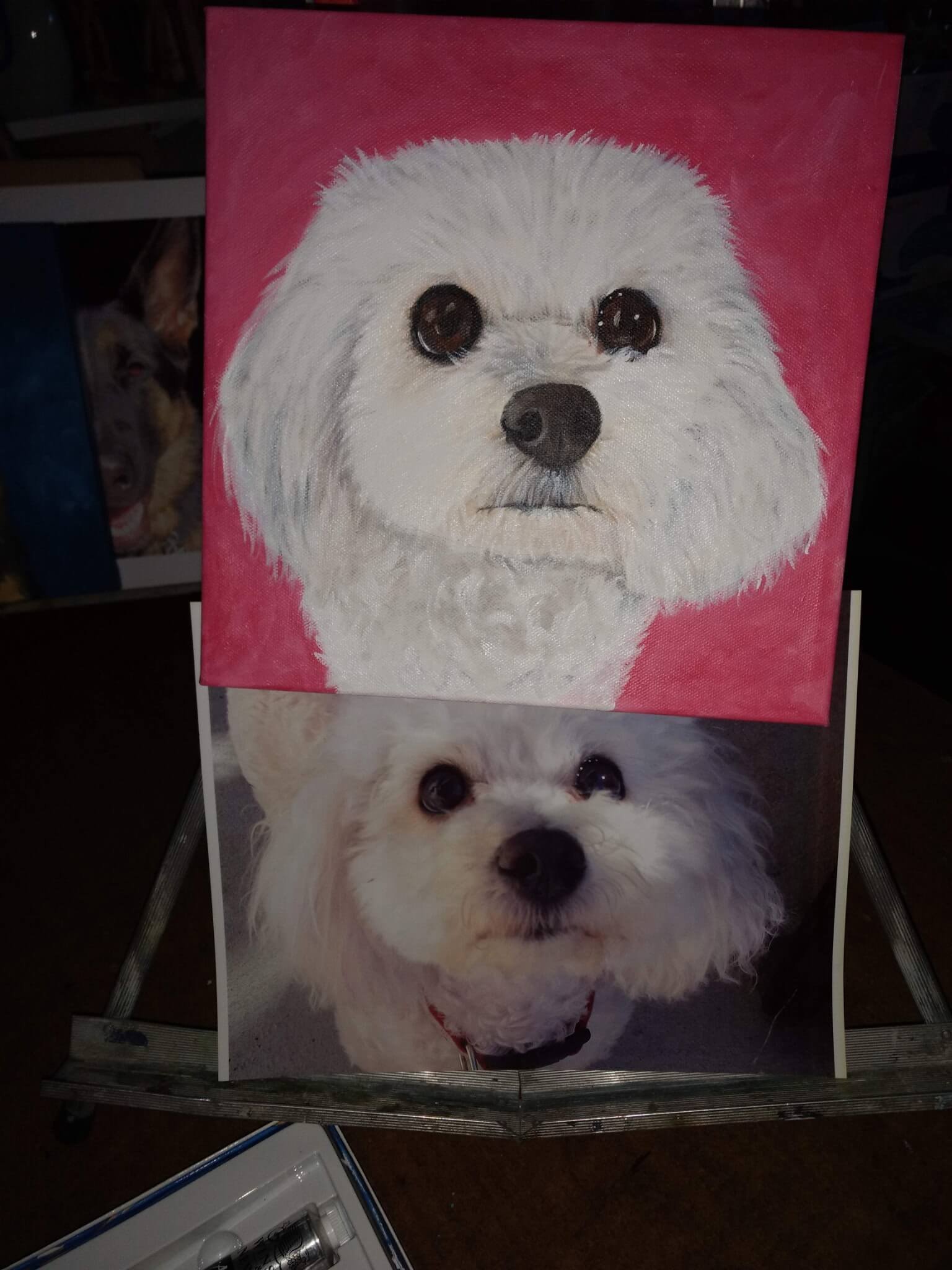 A realistic painting of a white dog with fluffy fur and large, dark eyes, against a pink background. Below it, a photograph of the same dog looking up with a similar expression.
