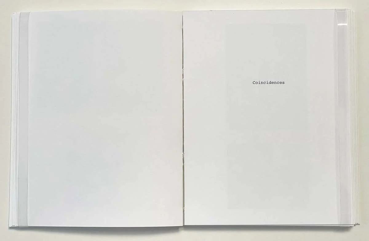 The Way I See It _ Leslie Wayne_Page_13_Image_0001.jpg