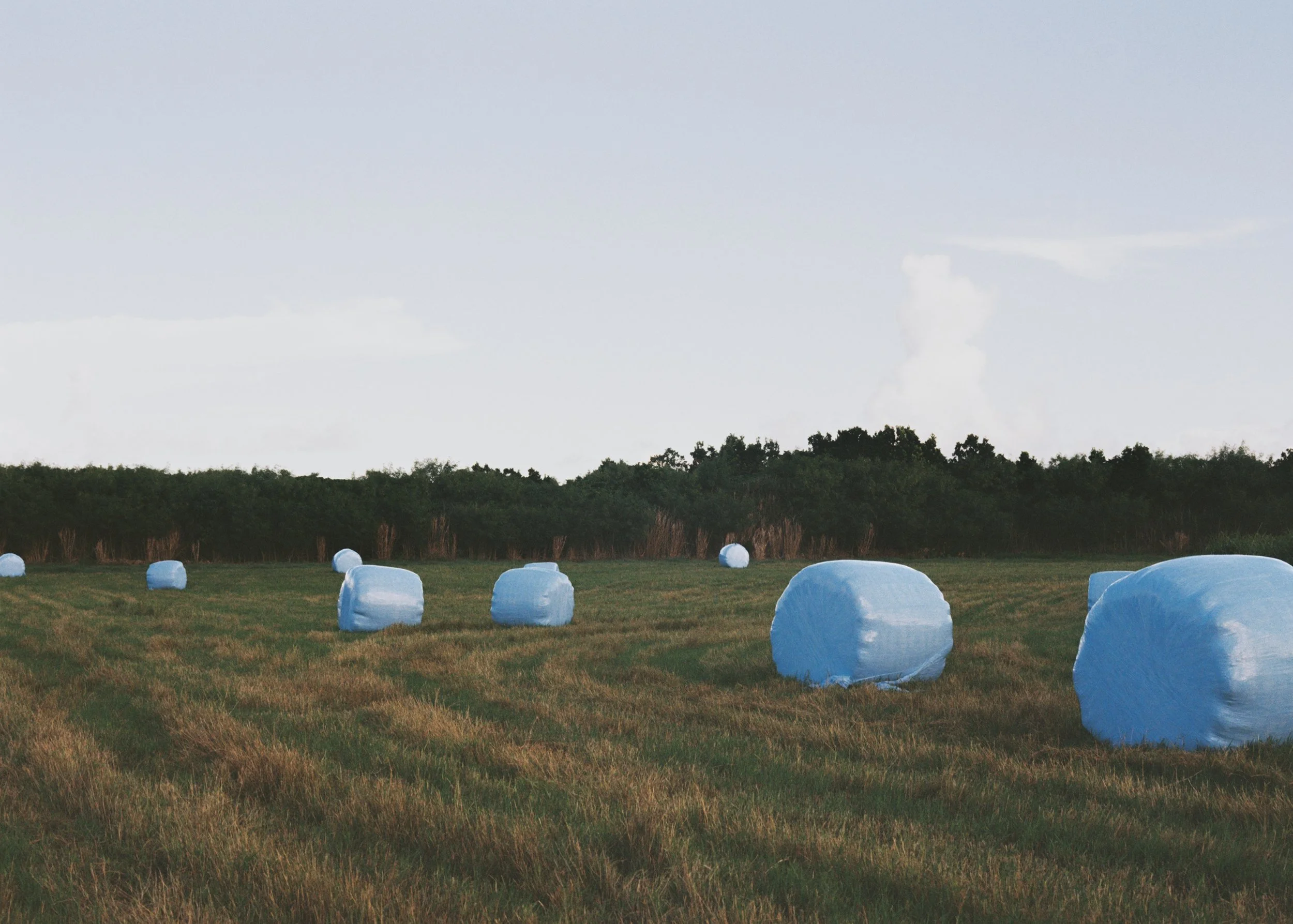Miyakojima, Japan, 2025