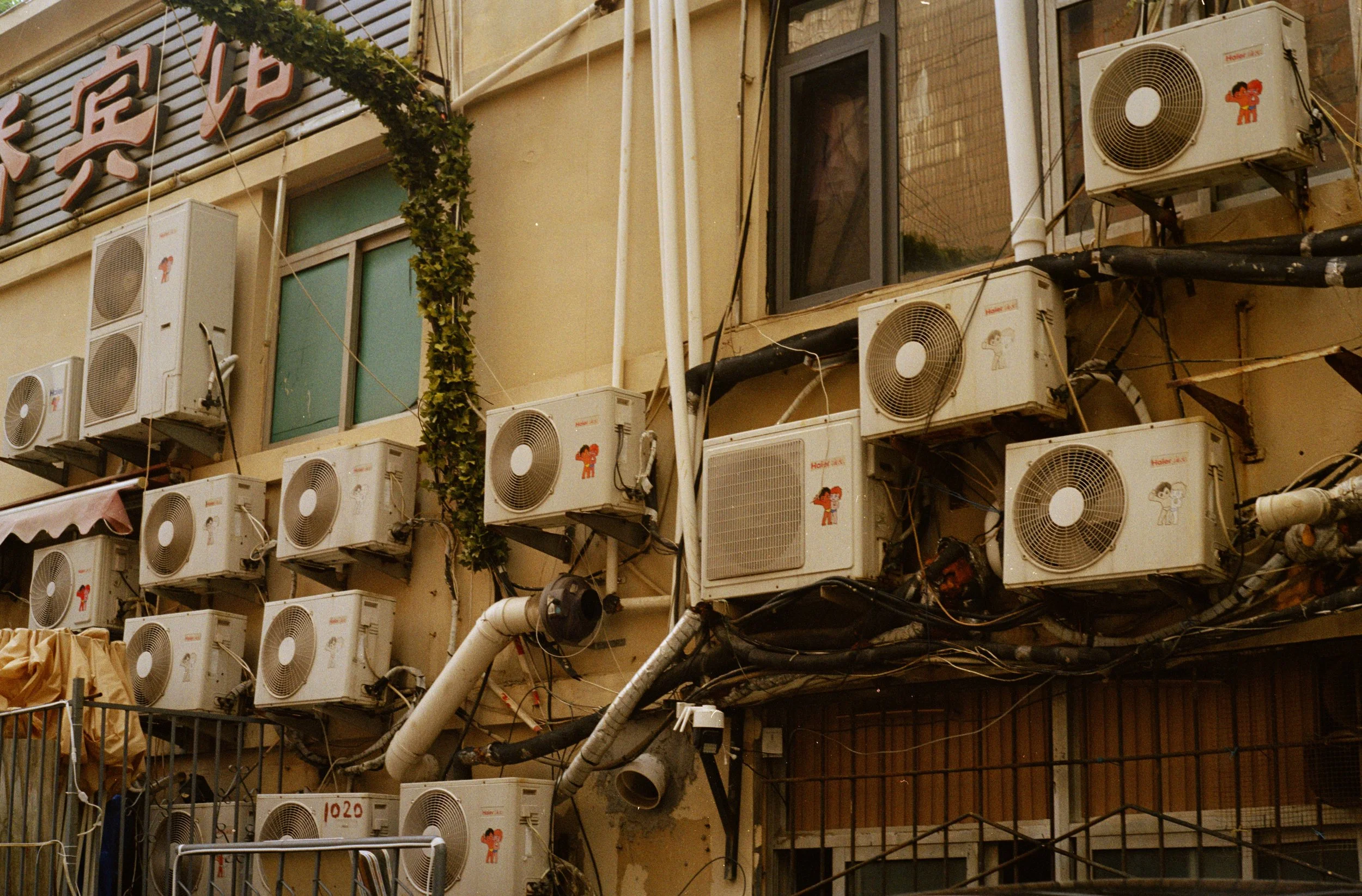 Multiple air conditioning units installed on the exterior wall of a building with a window above and some green vines.