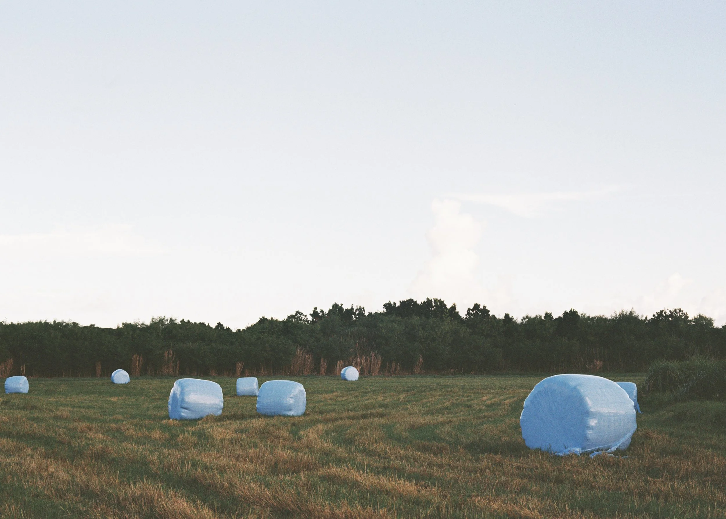 Miyakojima, Japan, 2025