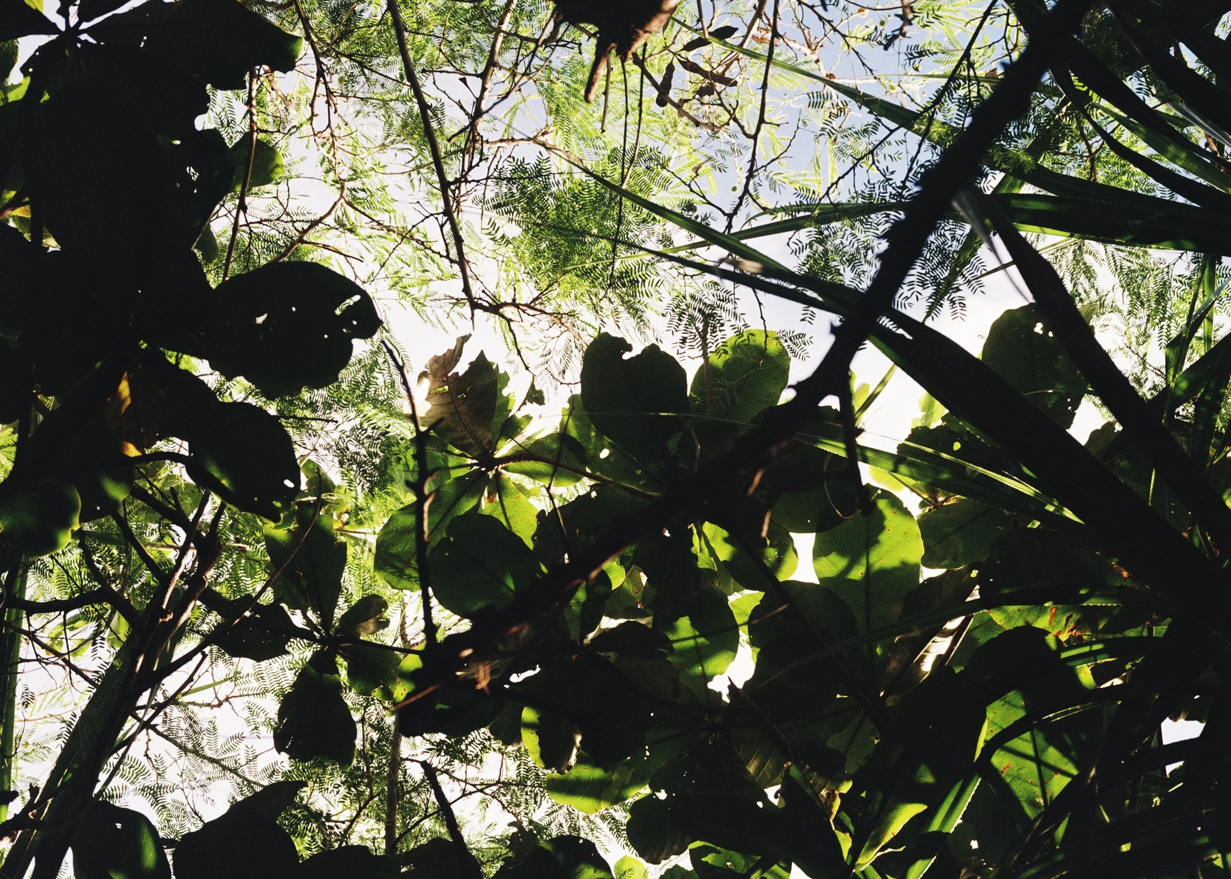 Miyakojima, Japan, 2025