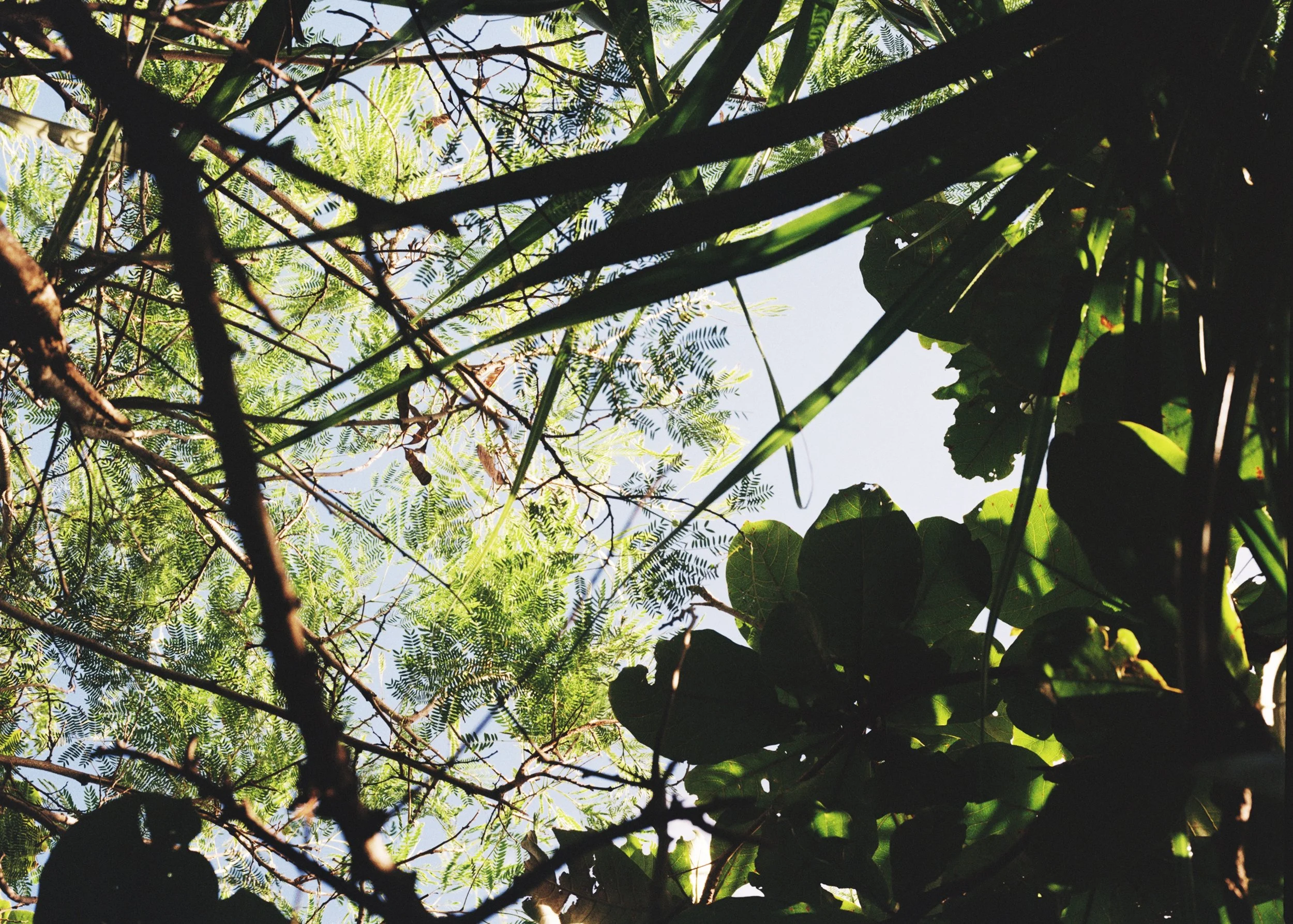 Miyakojima, Japan, 2025