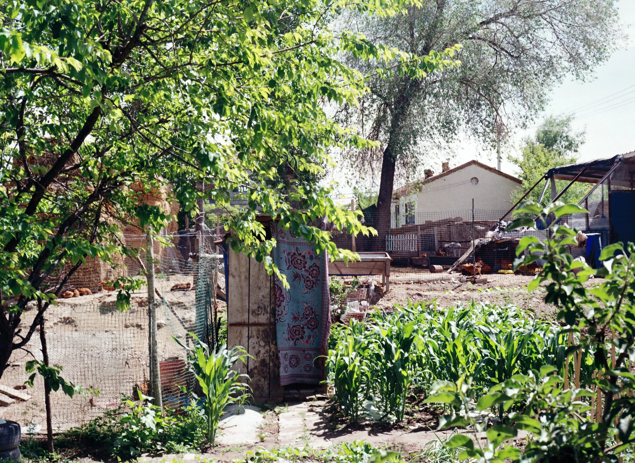 Xinjiang, Ili, Ma 's Home, 2025