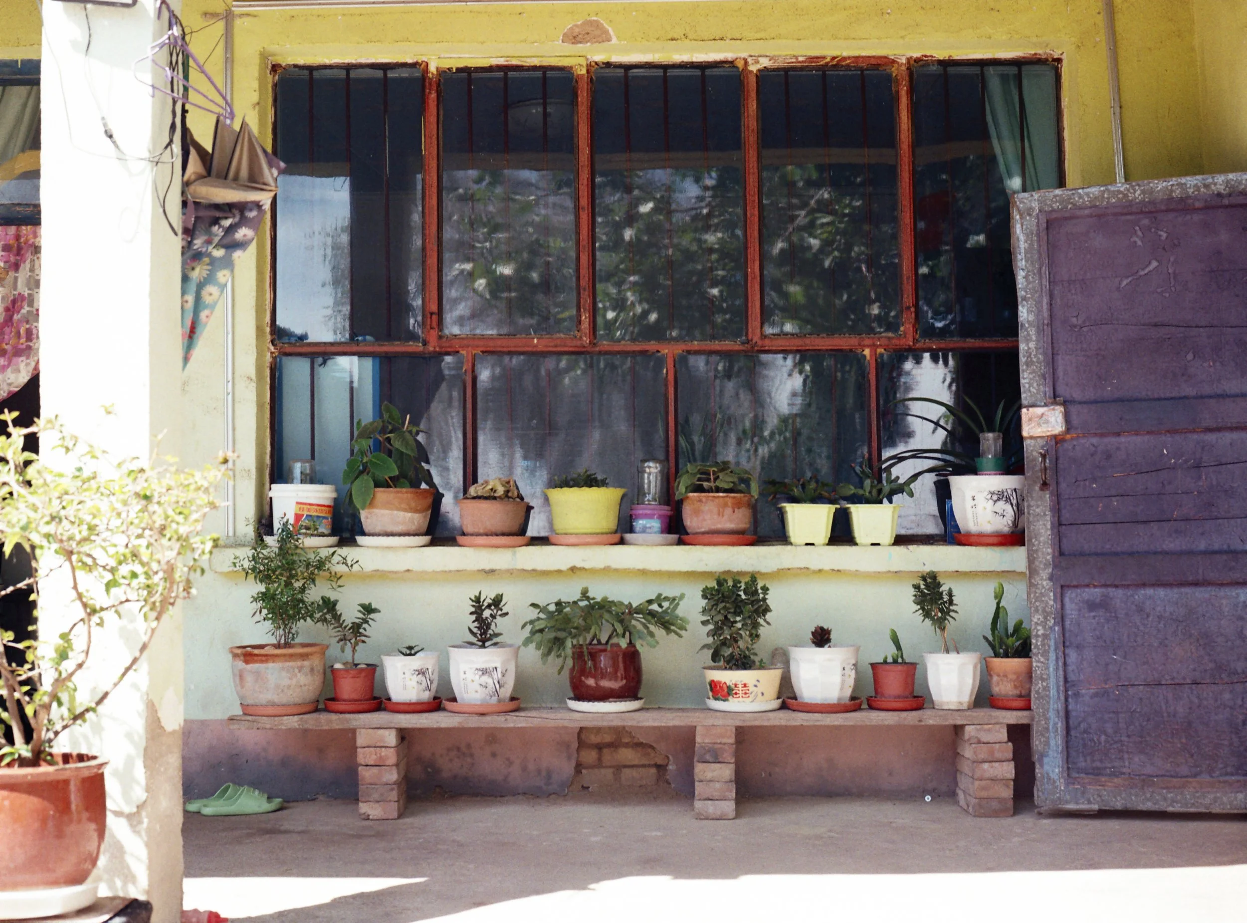 Xinjiang, Ili, Ma 's Home, 2025