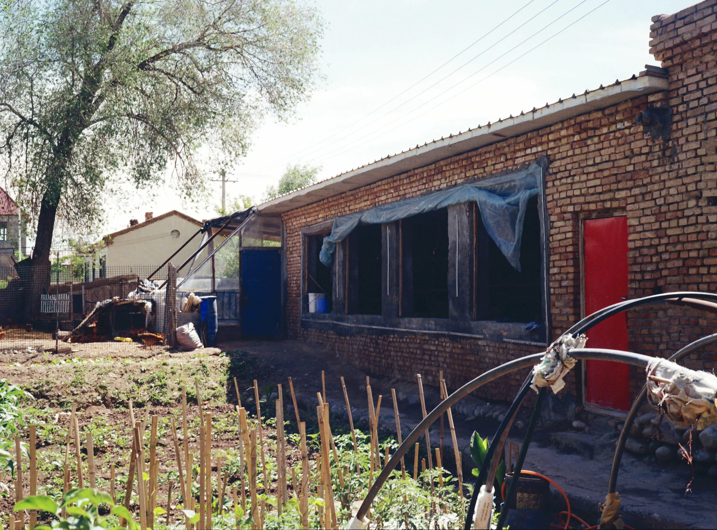 Xinjiang, Ili, Ma 's Home, 2025