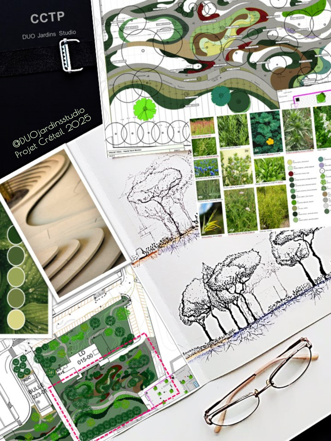 Plan d'aménagement paysager avec esquisses de jardins, dessins de plantes, chartes de couleurs, et photos de différentes espèces végétales, accompagné de croquis d'arbres et d'un plan architectural
