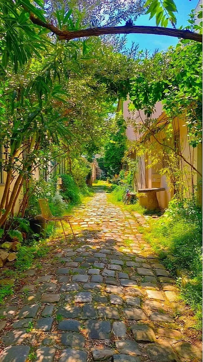 Allée pavée bordée de végétation verte dense et de maisons de chaque côté, sous un ciel bleu avec quelques branches d'arbres.