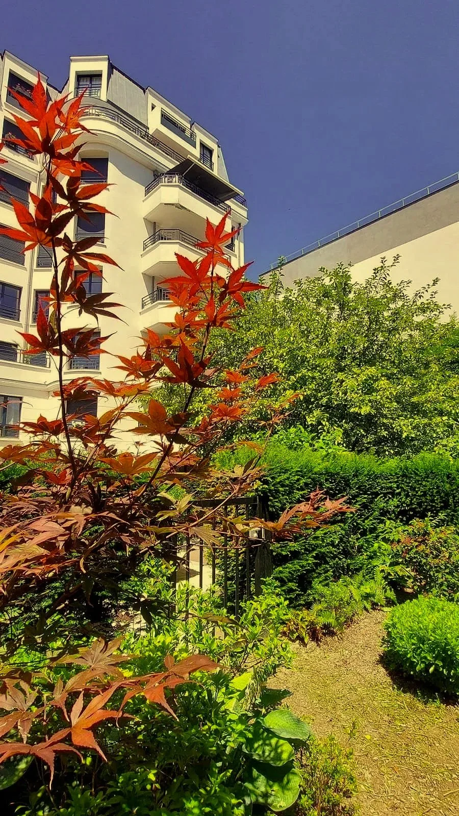 Jardin urbain avec un chemin et divers arbustes, en arrière-plan un bâtiment résidentiel moderne avec plusieurs balcons, sous un ciel clair et ensoleillé.