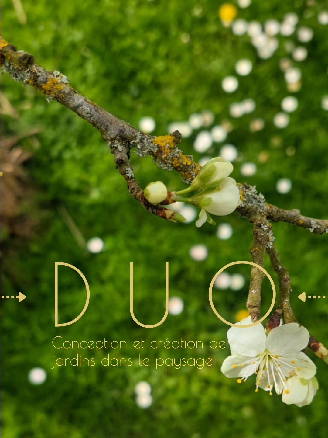 row-1-column-3 (4).png