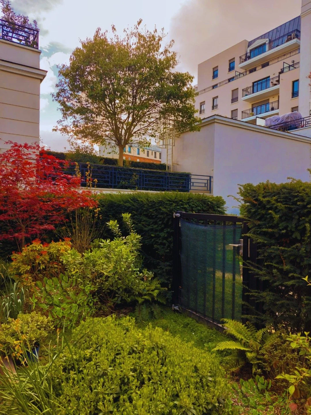 Le Jardin Caramujo s’épanouit vers une présence plus généreuse encore du vivant. Pensée comme une seconde respiration du lieu, cette phase enrichit les 12 m² d’une palette de plantes vivaces choisies pour leur capacité à habiter l’espace avec douceur