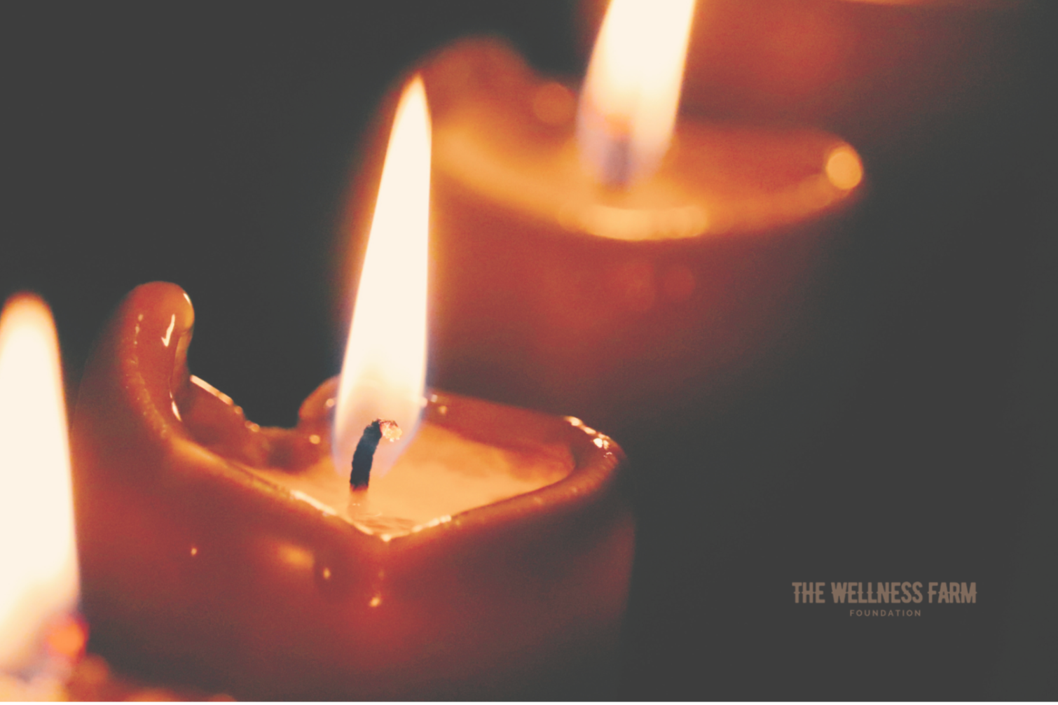 Candlelight For Humanity: The Wellness Farm Foundation