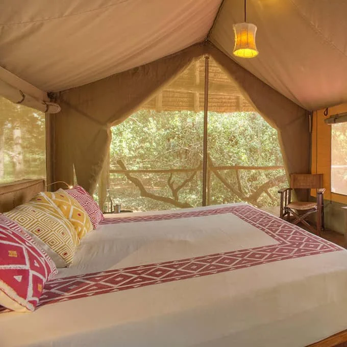 A cozy bed with decorative pillows and a patterned bedspread inside a tented cabin. The tent is set up outdoors with trees visible through the windows and a hanging light fixture.